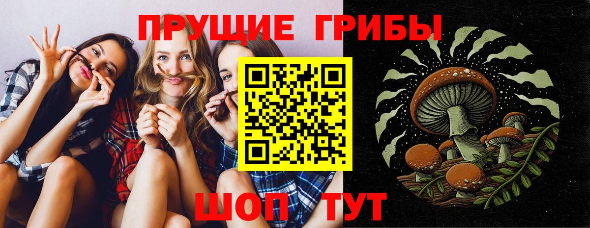 Псилоцибиновые грибы прущие грибы  Вход с VPN  Старый Оскол 