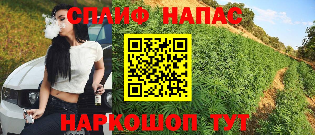 Каннабис сатива  Канабис семена  Бошки марихуана индика  Конопля ГИДРОПОН  Старый Оскол  Вход с VPN 